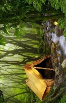 Can You Escape Tropical Forest游戲截圖5