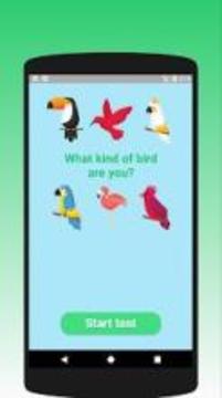What kind of bird are you? Test游戲截圖4
