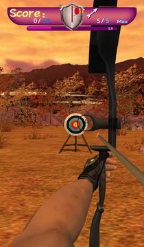 Archers Dreamer 3D游戲截圖3