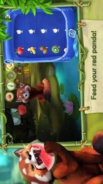 My Red Panda - The cute animal simulation游戲截圖5