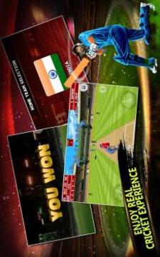 India vs New Zealand 2017游戲截圖1