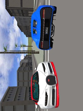 Chiron Driving Simulator游戲截圖3