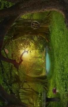 Can You Escape Tropical Forest游戲截圖1