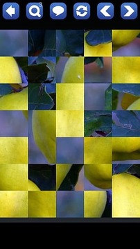 生活益智拼圖游戲截圖1