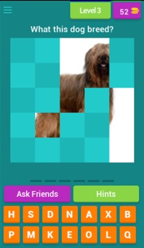 Dog Breeds Quiz游戲截圖3