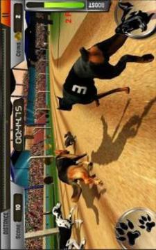 Crazy Dog Hunting Race Simulator 3D : 2018游戲截圖3