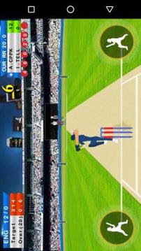 Cricket League T20游戏截图4
