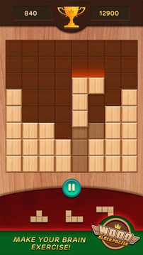 Wood Block Puzzle 1010游戲截圖5