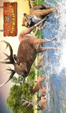 Ultimate Tiger Family Wild Animal Simulator Games游戲截圖3