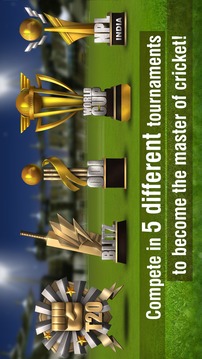世界板球锦标赛2游戏截图5