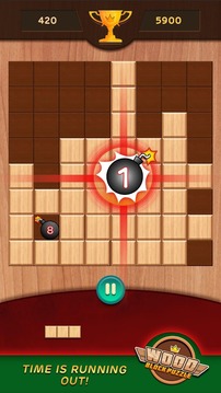 Wood Block Puzzle 1010游戲截圖3