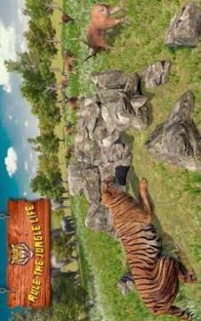 Ultimate Tiger Family Wild Animal Simulator Games游戲截圖5