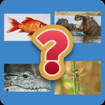 Adivina el Animal游戲截圖3