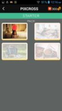 PixCross - Picture Crossword游戲截圖3
