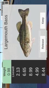 Toad Time Bass Fishing游戲截圖1