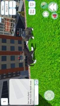 Cute Cat And Puppy World游戲截圖2