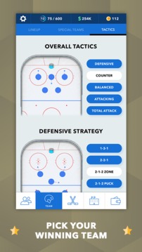 World Hockey Manager游戲截圖2