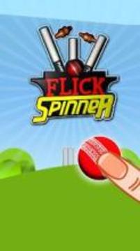 Flick Spinner Cricket 3D游戲截圖3
