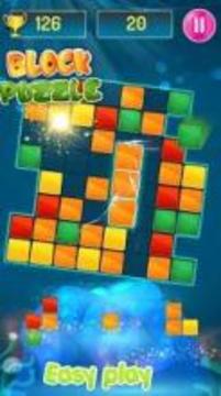 Block Puzzle 1010! Puzzle Game 2019游戲截圖4