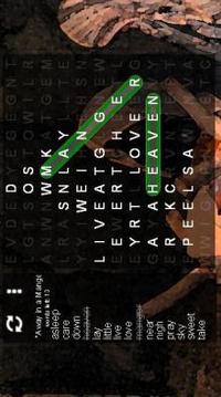 Christmas Word Search Puzzles游戲截圖4