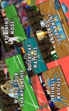 Badminton Premier League:3D Badminton Sports Game游戲截圖3