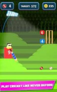 Mr. Bat: The Cricket Game游戲截圖5
