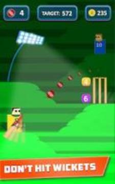 Mr. Bat: The Cricket Game游戲截圖3