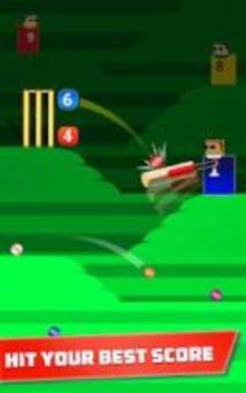 Mr. Bat: The Cricket Game游戲截圖2