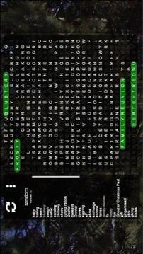 Christmas Word Search Puzzles游戲截圖2