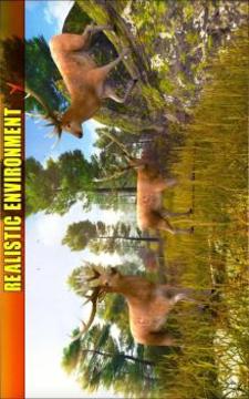Deer Hunting 2017游戲截圖5