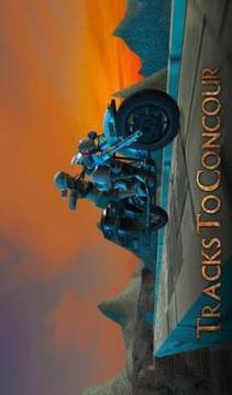 Impossible Tracks: Extreme Bike Driving Simulator游戲截圖1