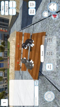 Cute Cat And Puppy World游戲截圖3