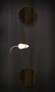 Mouse on the Screen for a Cat游戲截圖2