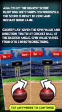 Flick Spinner Cricket 3D游戲截圖1