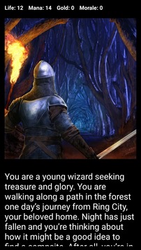 Medieval Fantasy RPG (Choices Game)游戲截圖1