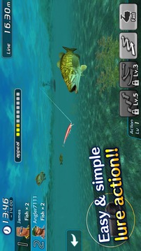 Bass Fishing 3D II游戏截图4