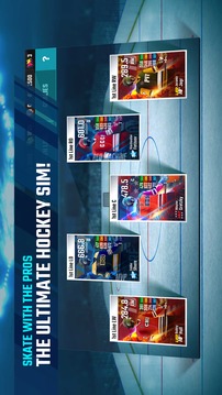 Franchise Hockey 2018游戲截圖5