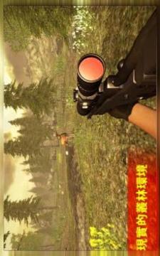 Animal Hunting Sniper 2017游戲截圖2