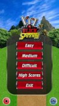 Flick Spinner Cricket 3D游戲截圖2