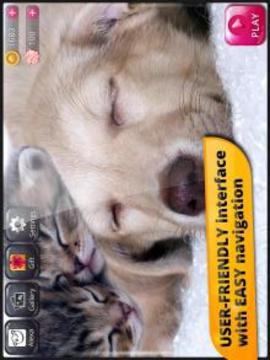 Good Old Jigsaw Puzzles游戲截圖2