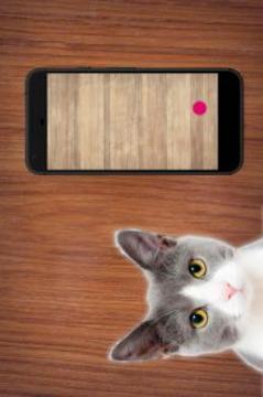 Laser Pointer Cat - Simulator Games for Cats游戲截圖2