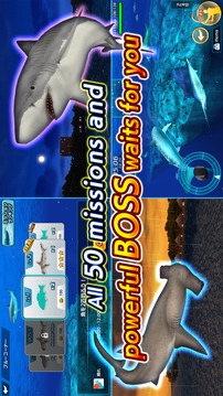 Wild Shark Fishing游戲截圖1