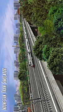 Indonesian Train Simulator游戏截图1