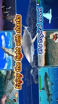 Wild Shark Fishing游戲截圖2