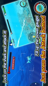 Wild Shark Fishing游戲截圖3