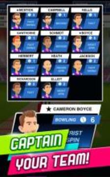 Stick Cricket Super League游戲截圖4