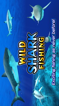 Wild Shark Fishing游戲截圖5