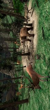 海妖頭和叢林狩獵游戲截圖3