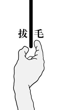 拔條毛游戲截圖5