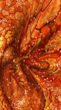 奇幻史萊姆粘液游戲截圖1